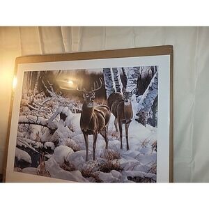 Jerry Gadamus "Watershed Refuge" Signed Ltd Ed Print 3886/6000 - Ducks Unlimited